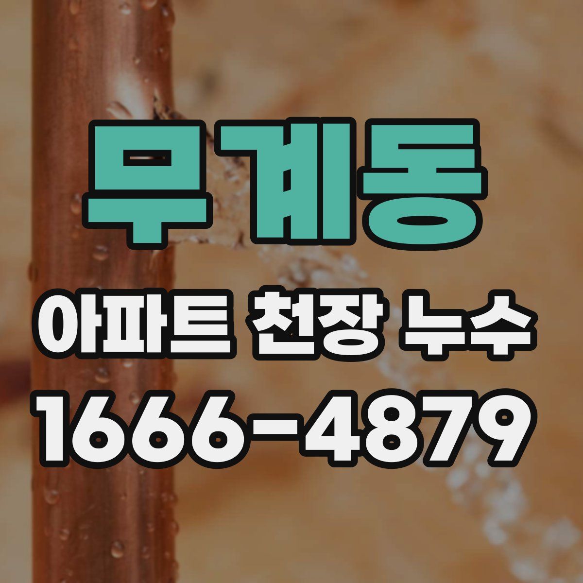 무계동 아파트 천장 누수