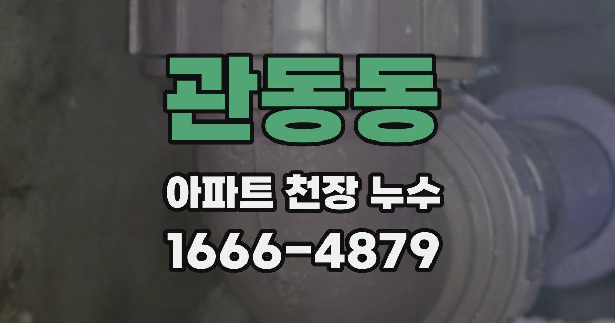 관동동 아파트 천장 누수