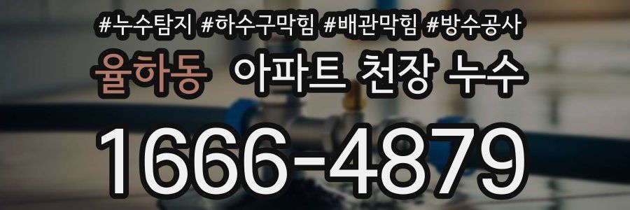 율하동 아파트 천장 누수