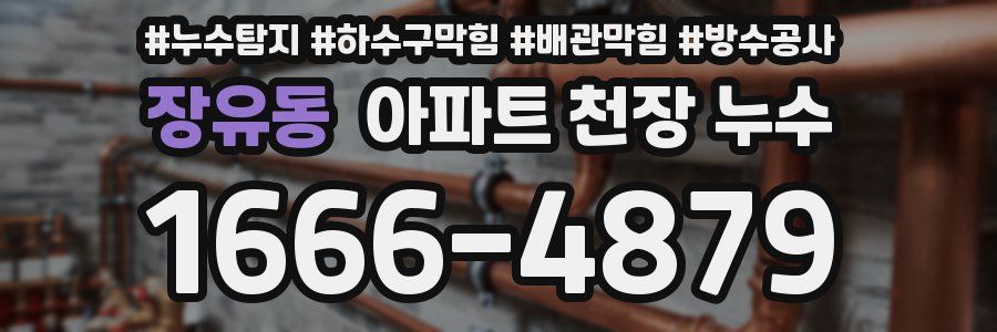 장유동 아파트 천장 누수