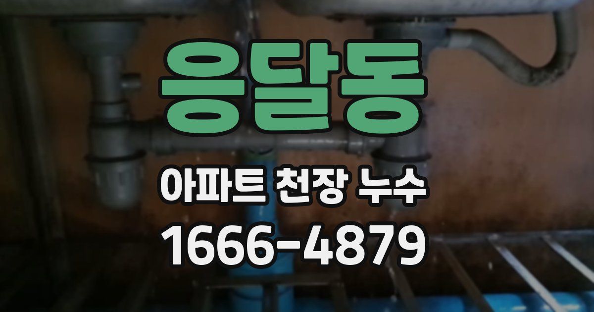 응달동 아파트 천장 누수