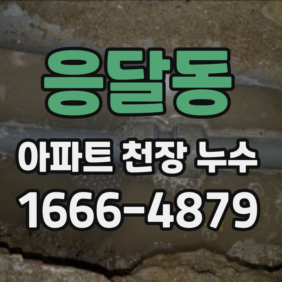 응달동 아파트 천장 누수