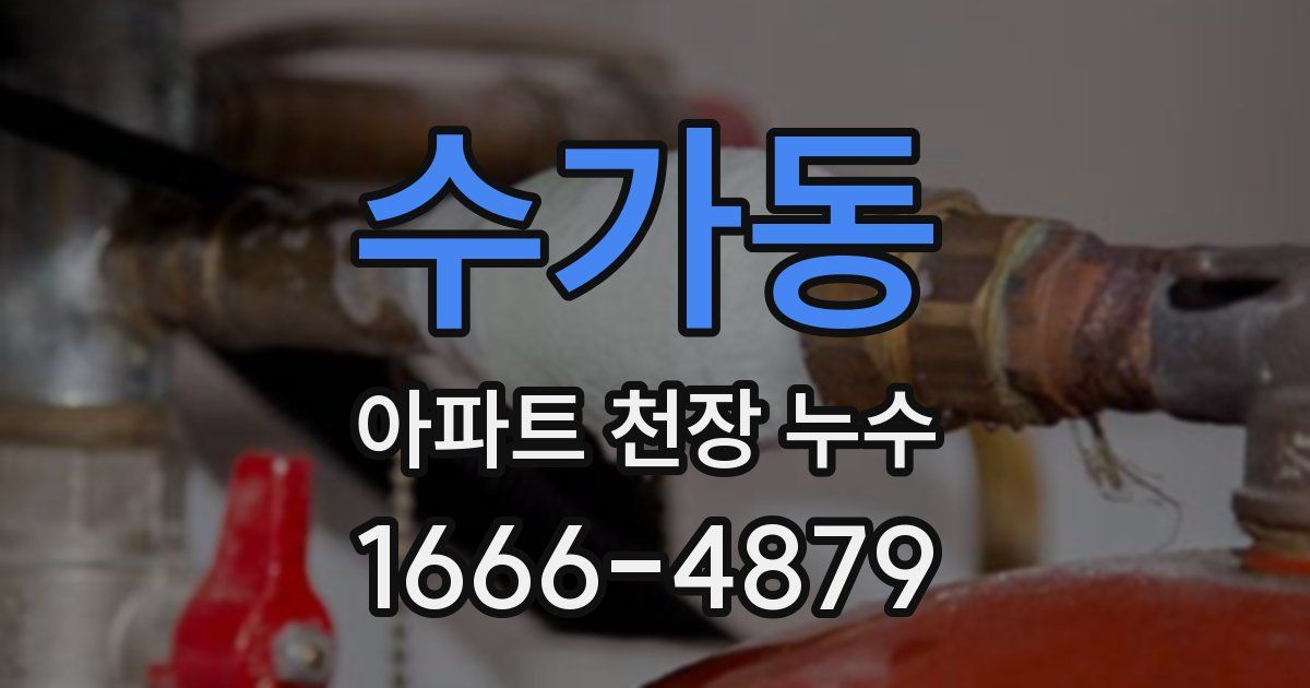 수가동 아파트 천장 누수