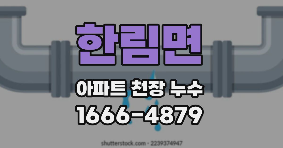 한림면 아파트 천장 누수