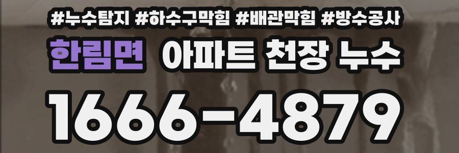 한림면 아파트 천장 누수