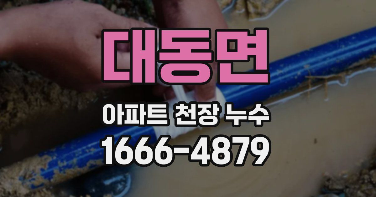 대동면 아파트 천장 누수