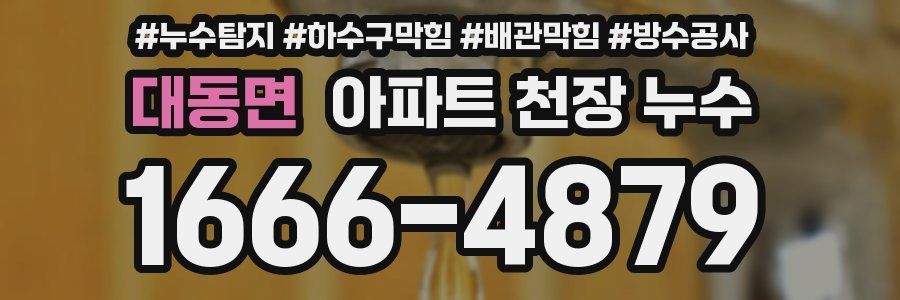 대동면 아파트 천장 누수
