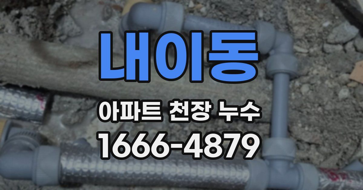 내이동 아파트 천장 누수