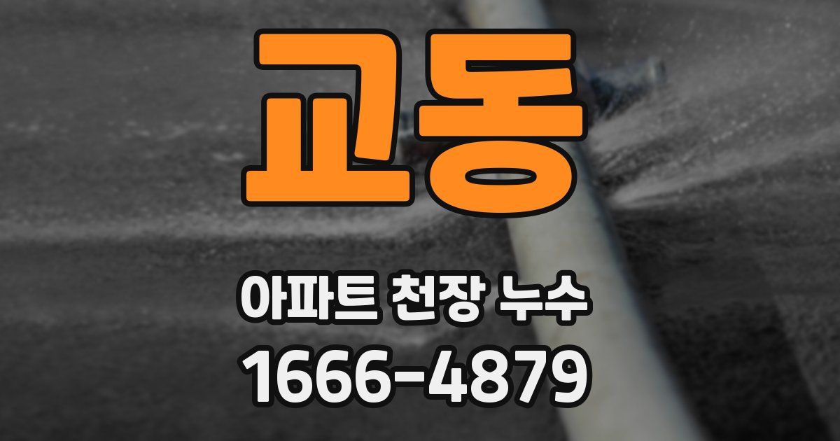 교동 아파트 천장 누수