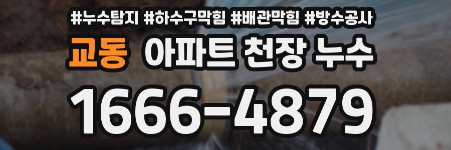 교동 아파트 천장 누수