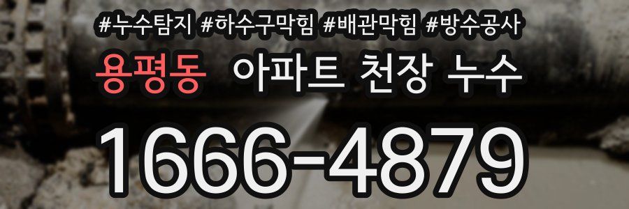 용평동 아파트 천장 누수