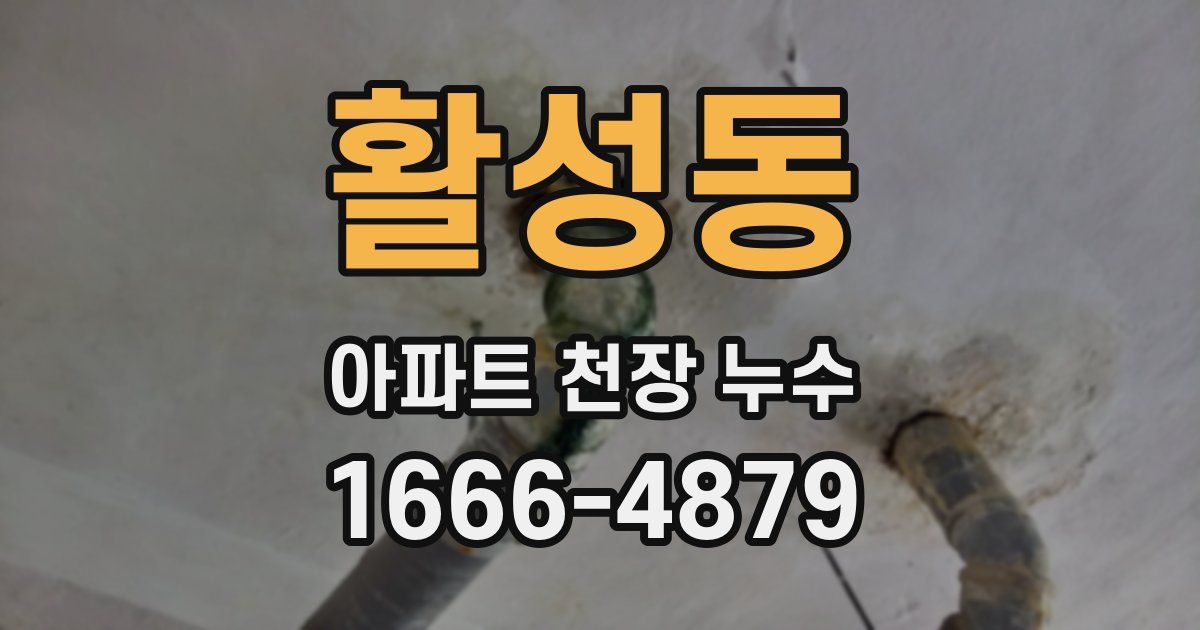 활성동 아파트 천장 누수