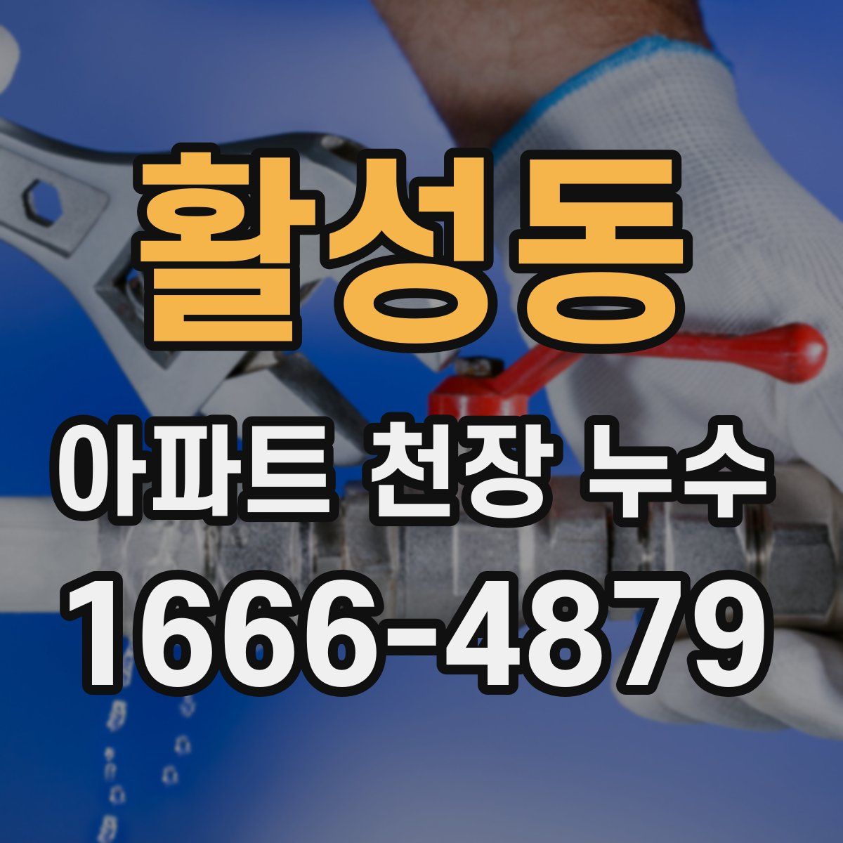 활성동 아파트 천장 누수