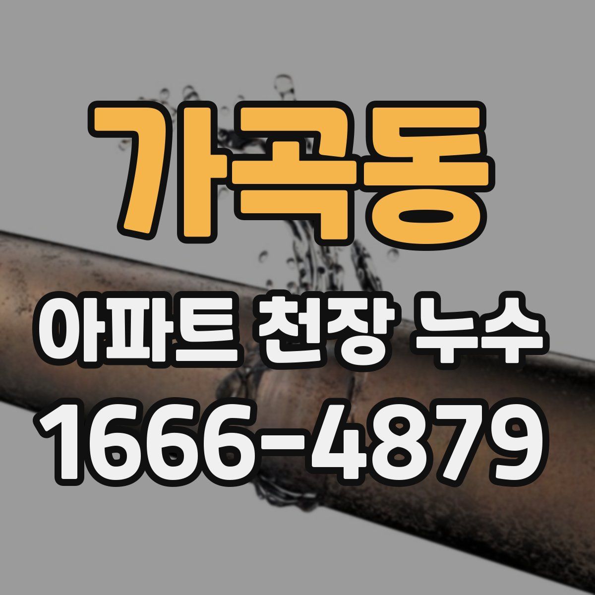 가곡동 아파트 천장 누수