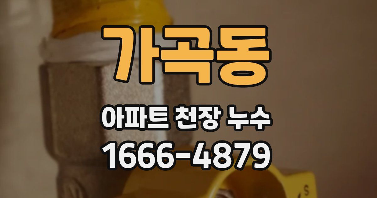 가곡동 아파트 천장 누수
