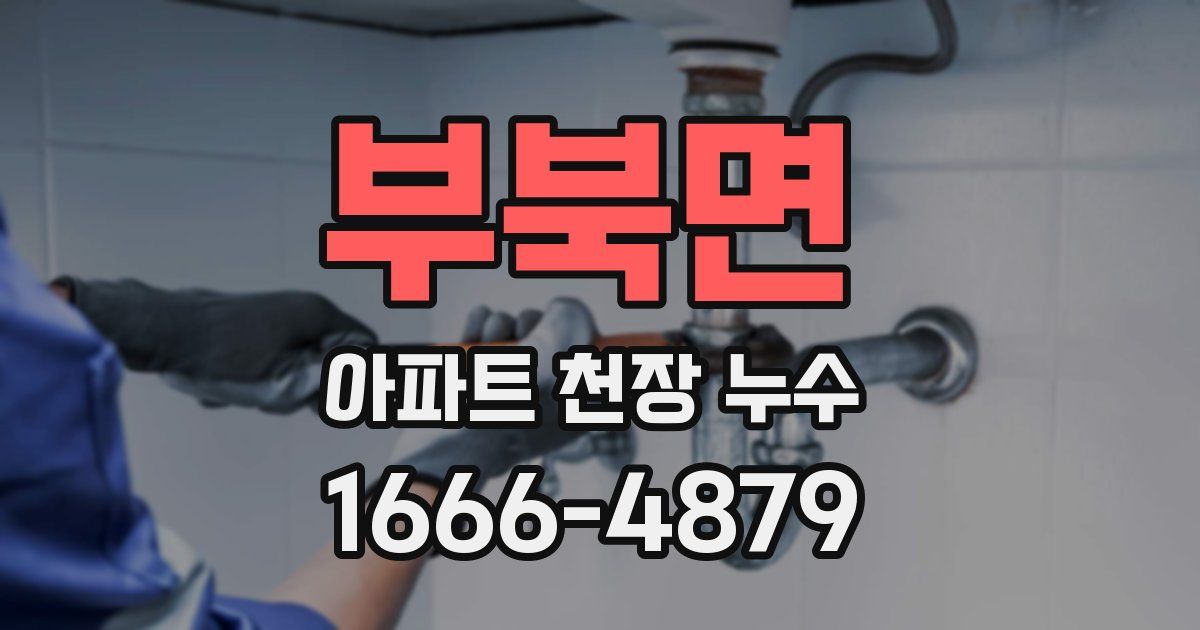 부북면 아파트 천장 누수