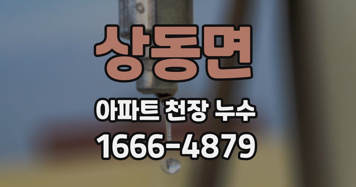 상동면 아파트 천장 누수