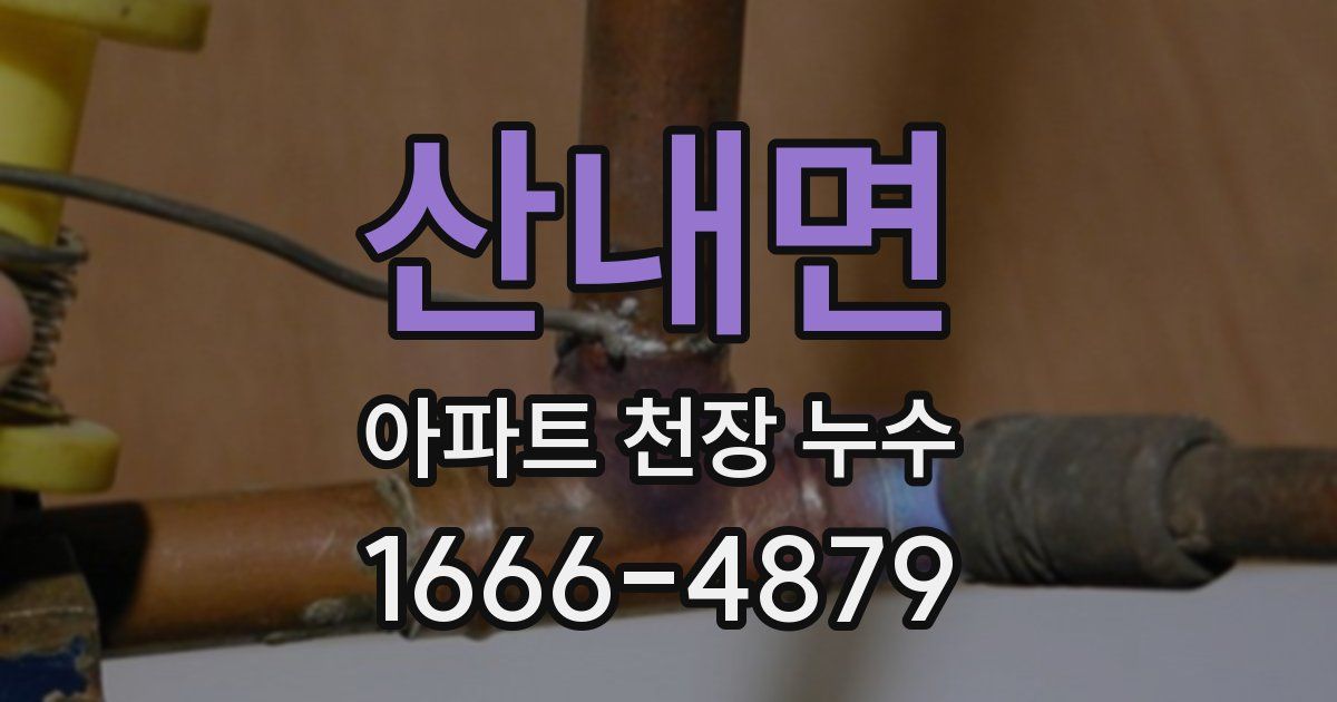 산내면 아파트 천장 누수