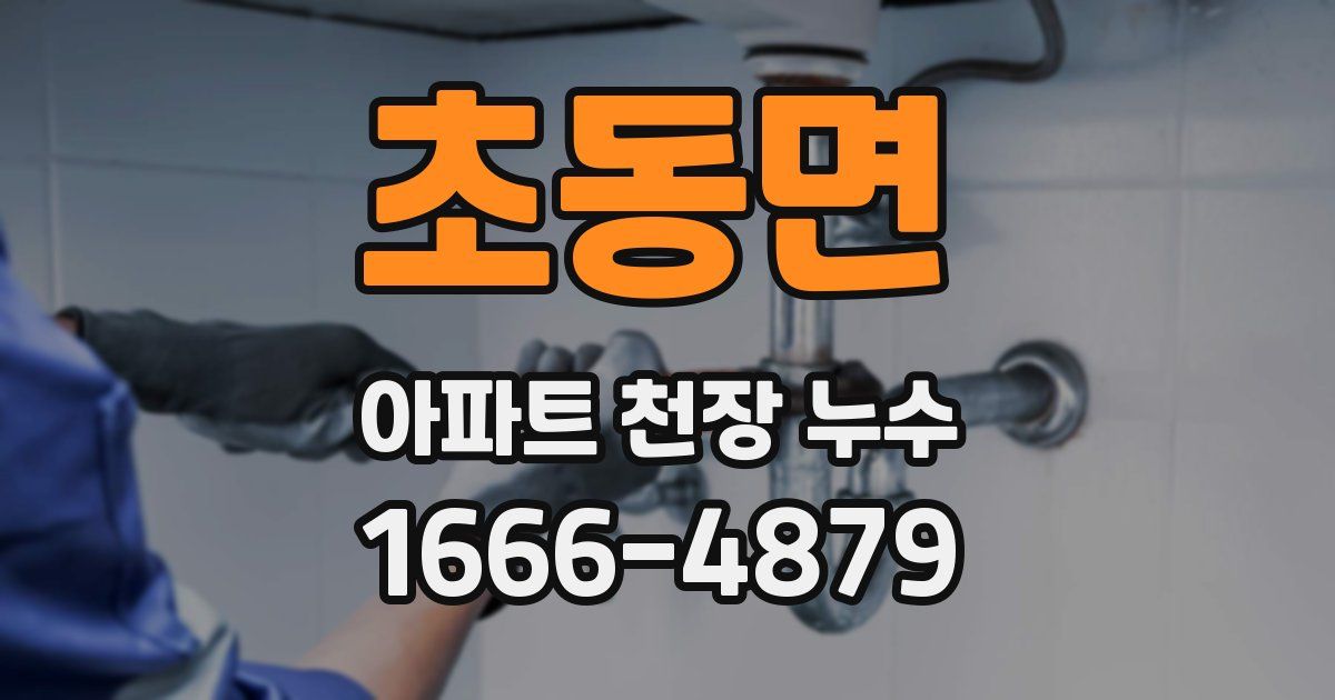 초동면 아파트 천장 누수