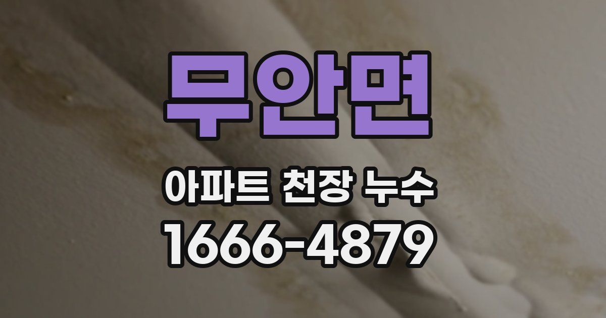 무안면 아파트 천장 누수