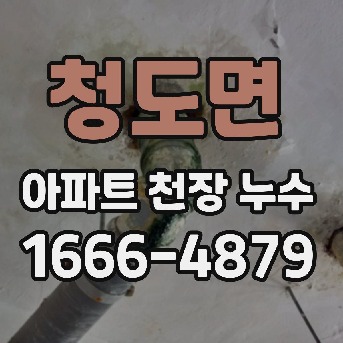 청도면 아파트 천장 누수