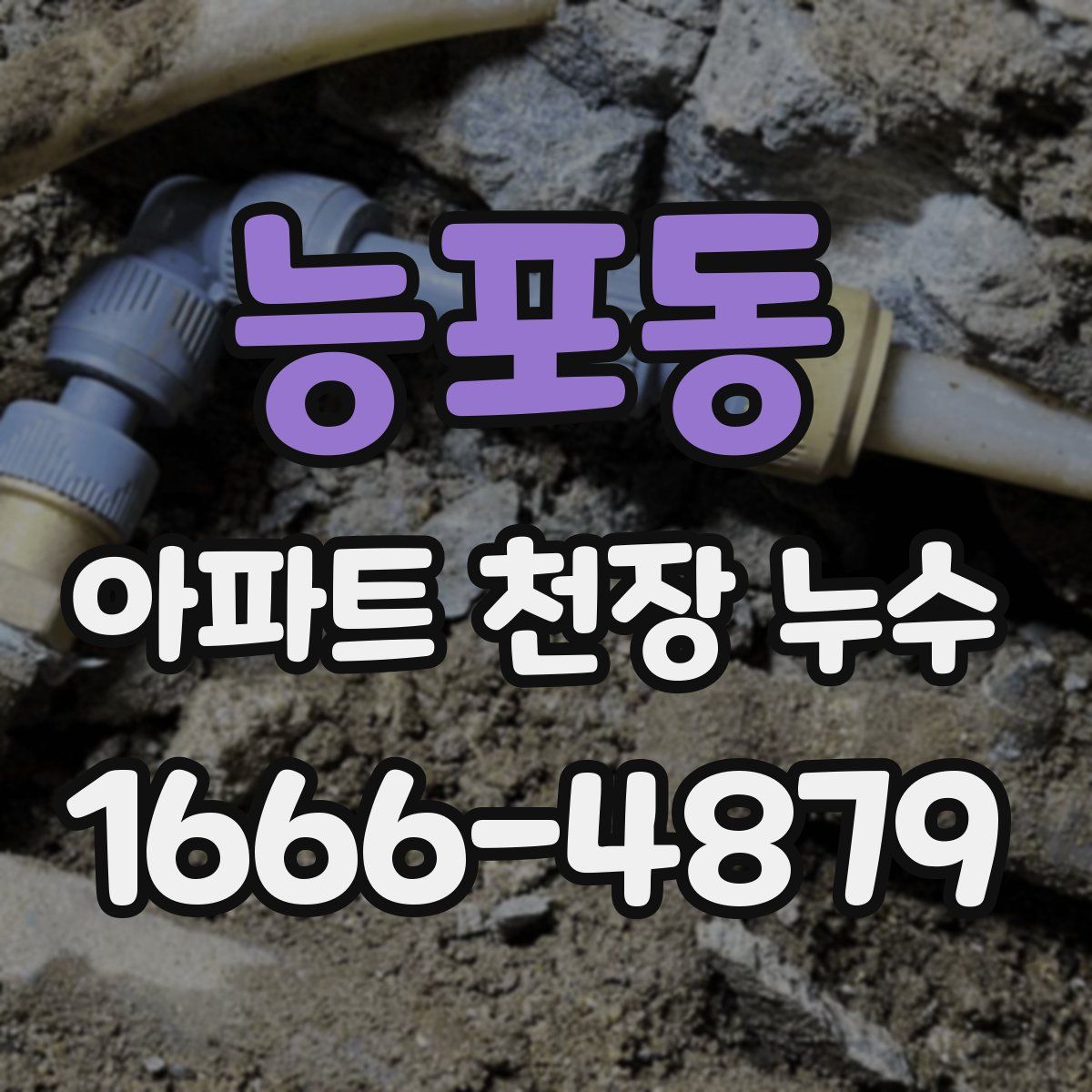 능포동 아파트 천장 누수