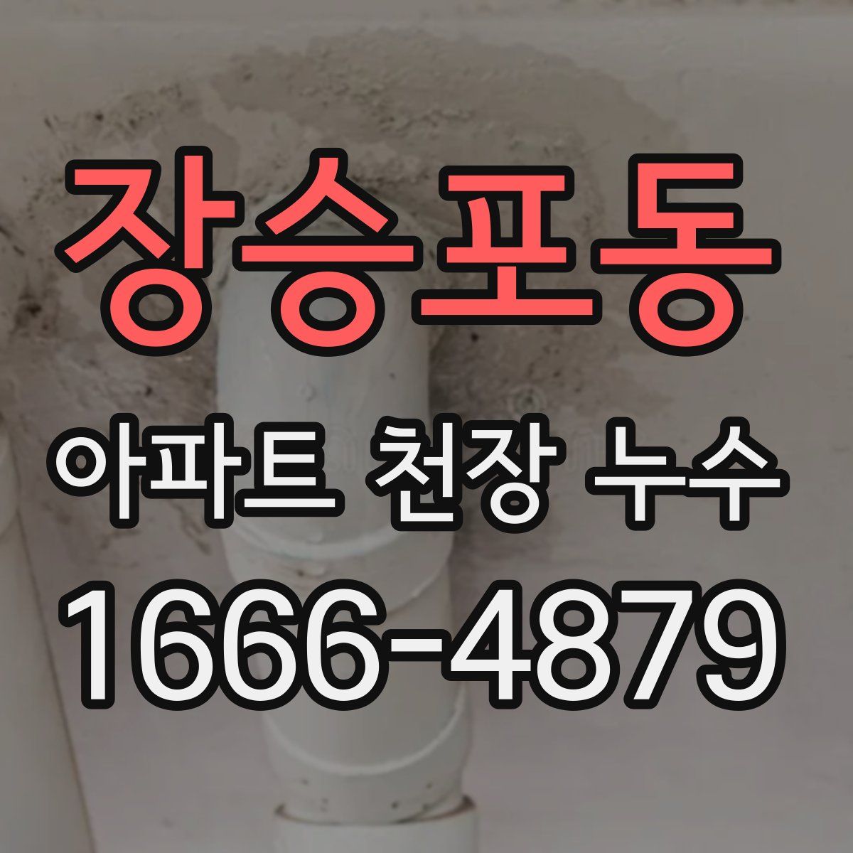 장승포동 아파트 천장 누수