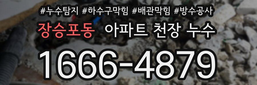 장승포동 아파트 천장 누수