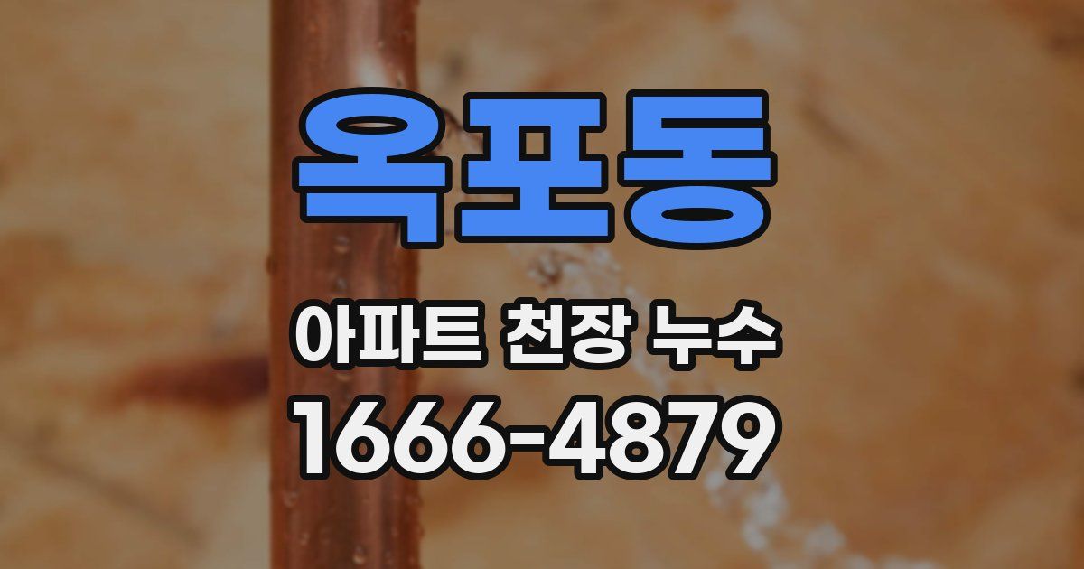 옥포동 아파트 천장 누수