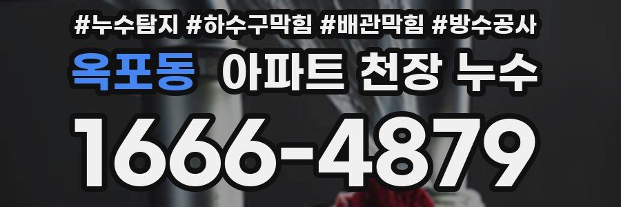 옥포동 아파트 천장 누수