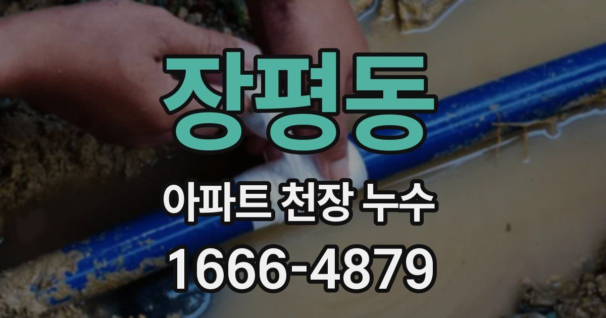 장평동 아파트 천장 누수