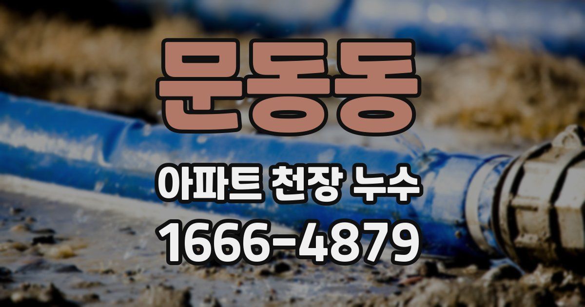 문동동 아파트 천장 누수