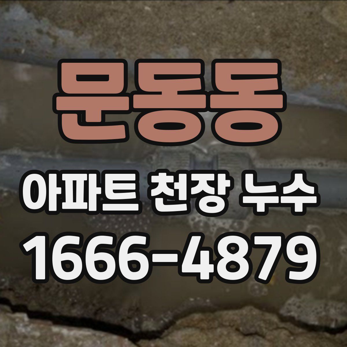문동동 아파트 천장 누수