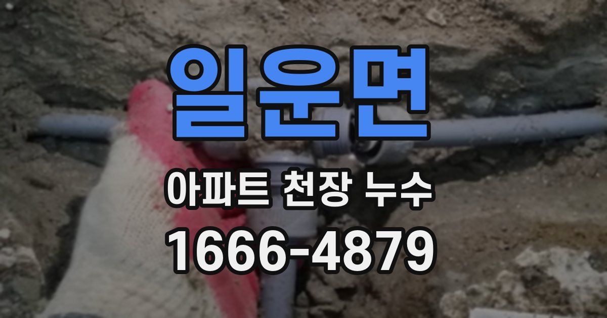 일운면 아파트 천장 누수