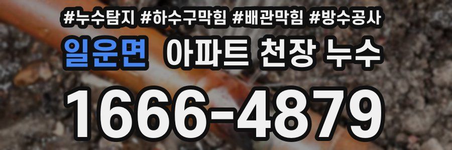 일운면 아파트 천장 누수