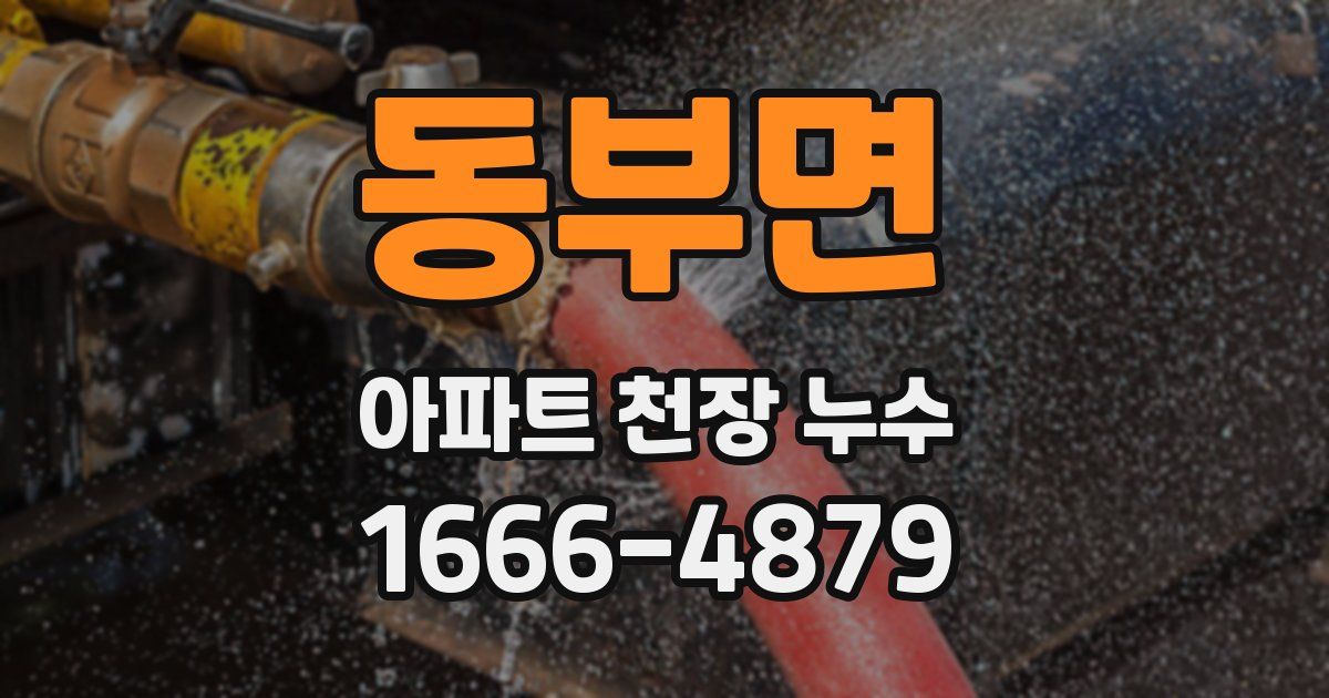 동부면 아파트 천장 누수