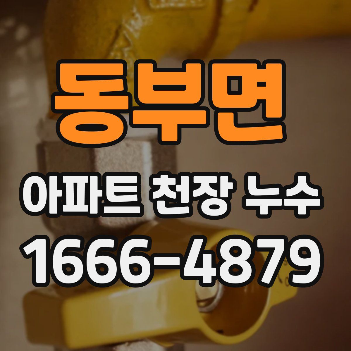 동부면 아파트 천장 누수