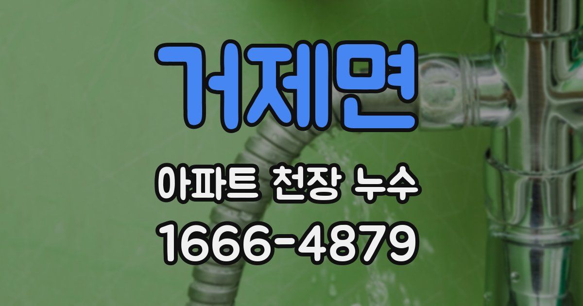 거제면 아파트 천장 누수