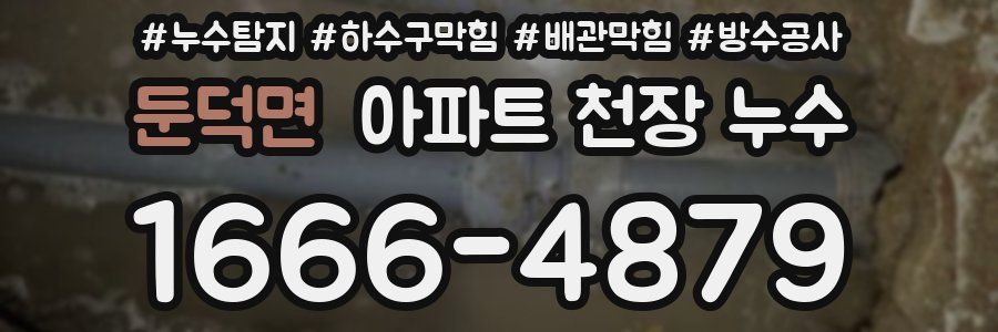 둔덕면 아파트 천장 누수