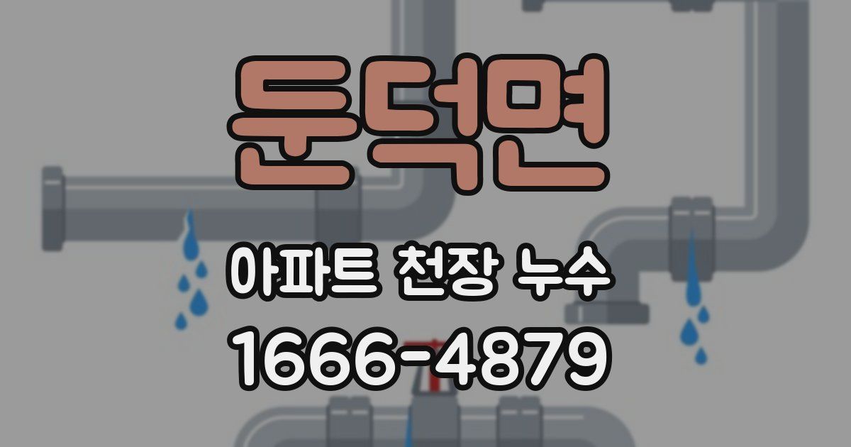둔덕면 아파트 천장 누수