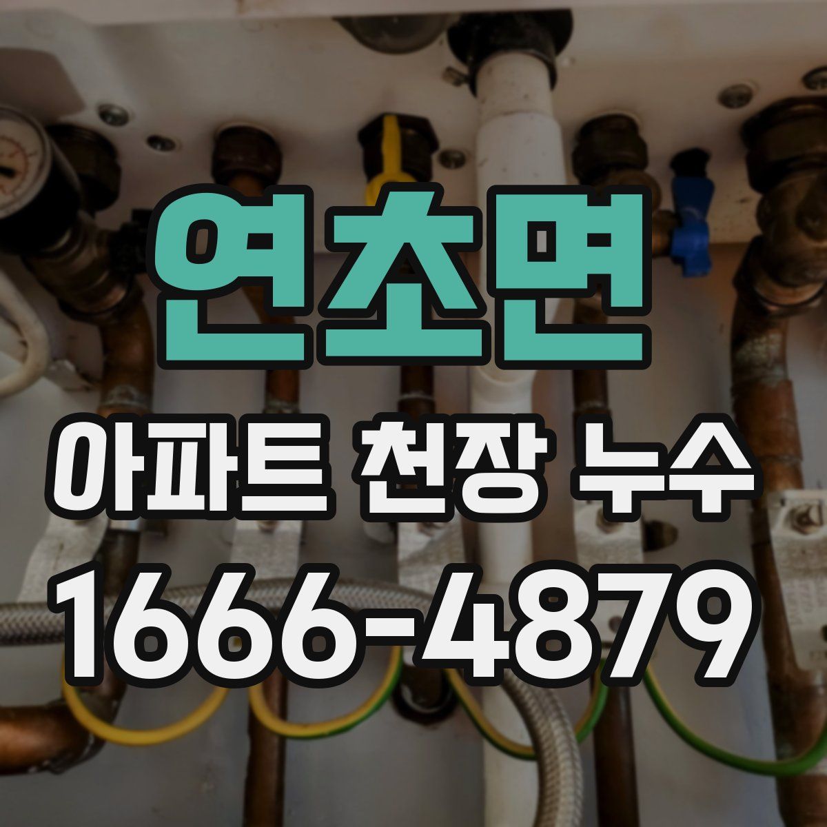 연초면 아파트 천장 누수