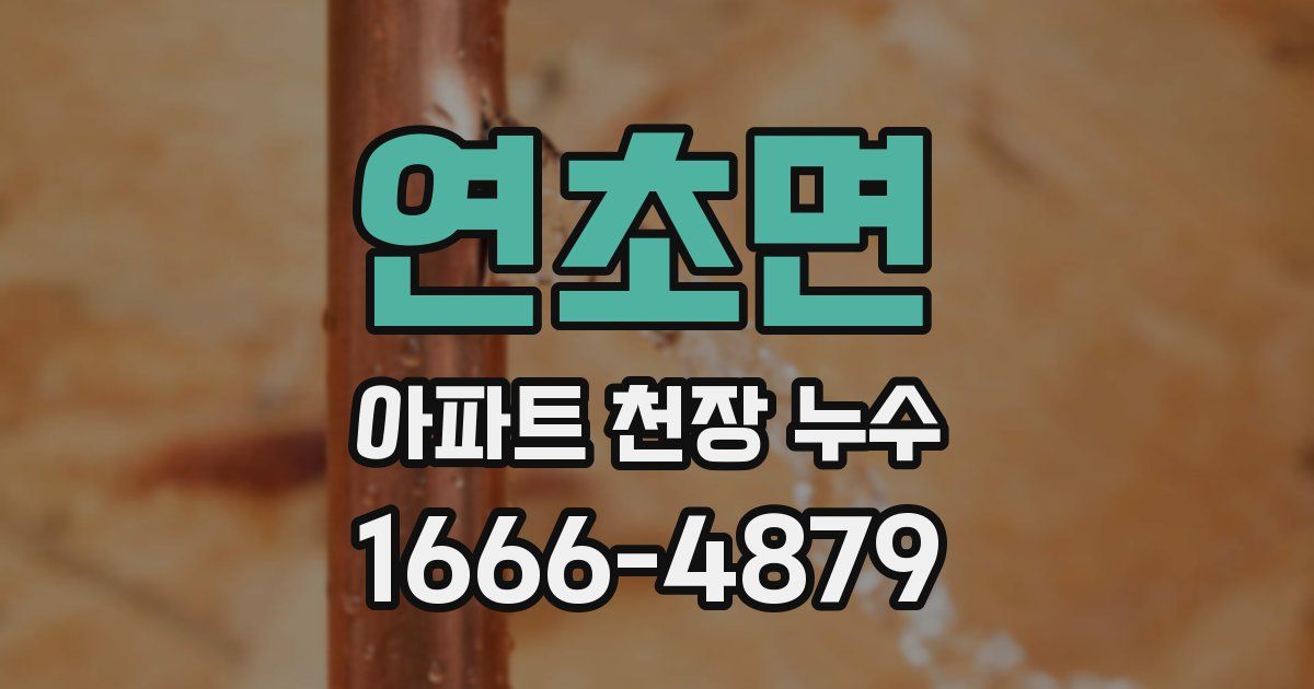 연초면 아파트 천장 누수
