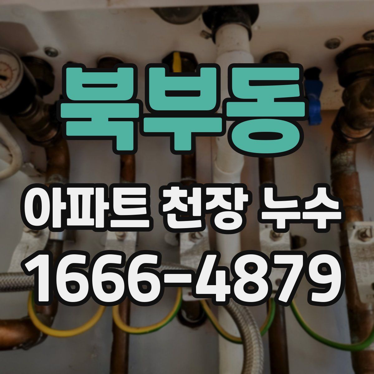 북부동 아파트 천장 누수