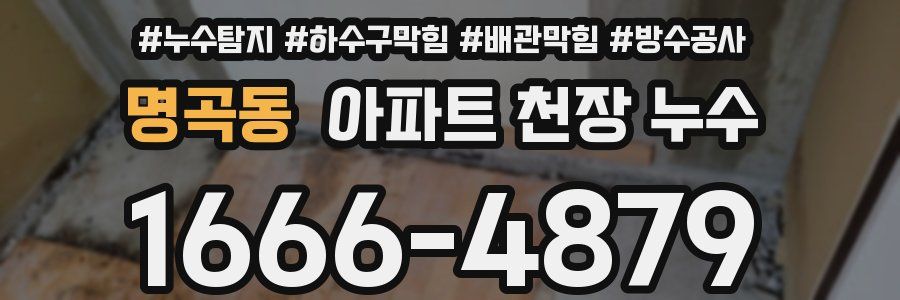 명곡동 아파트 천장 누수