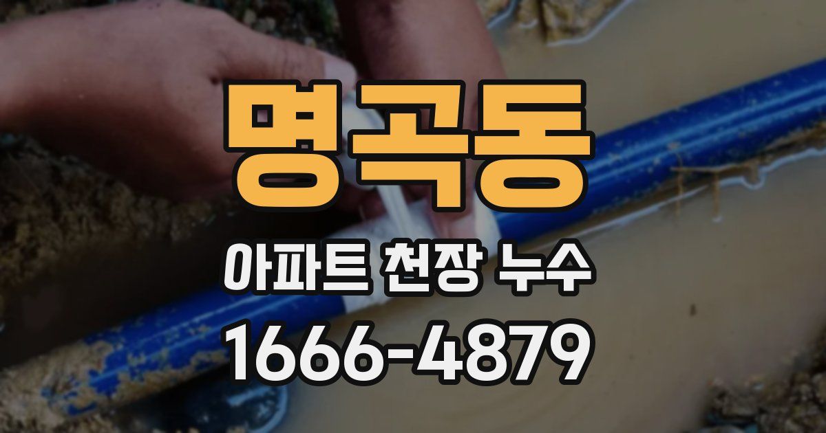 명곡동 아파트 천장 누수