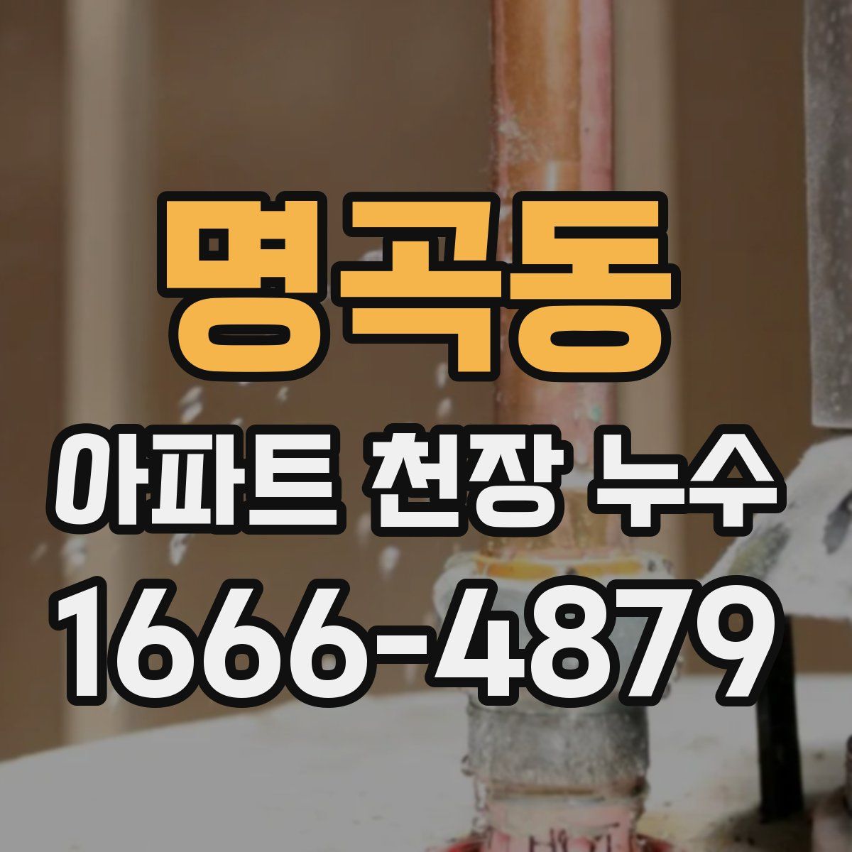 명곡동 아파트 천장 누수