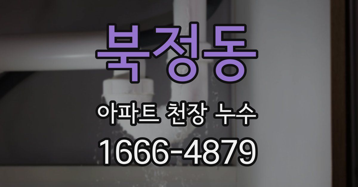 북정동 아파트 천장 누수