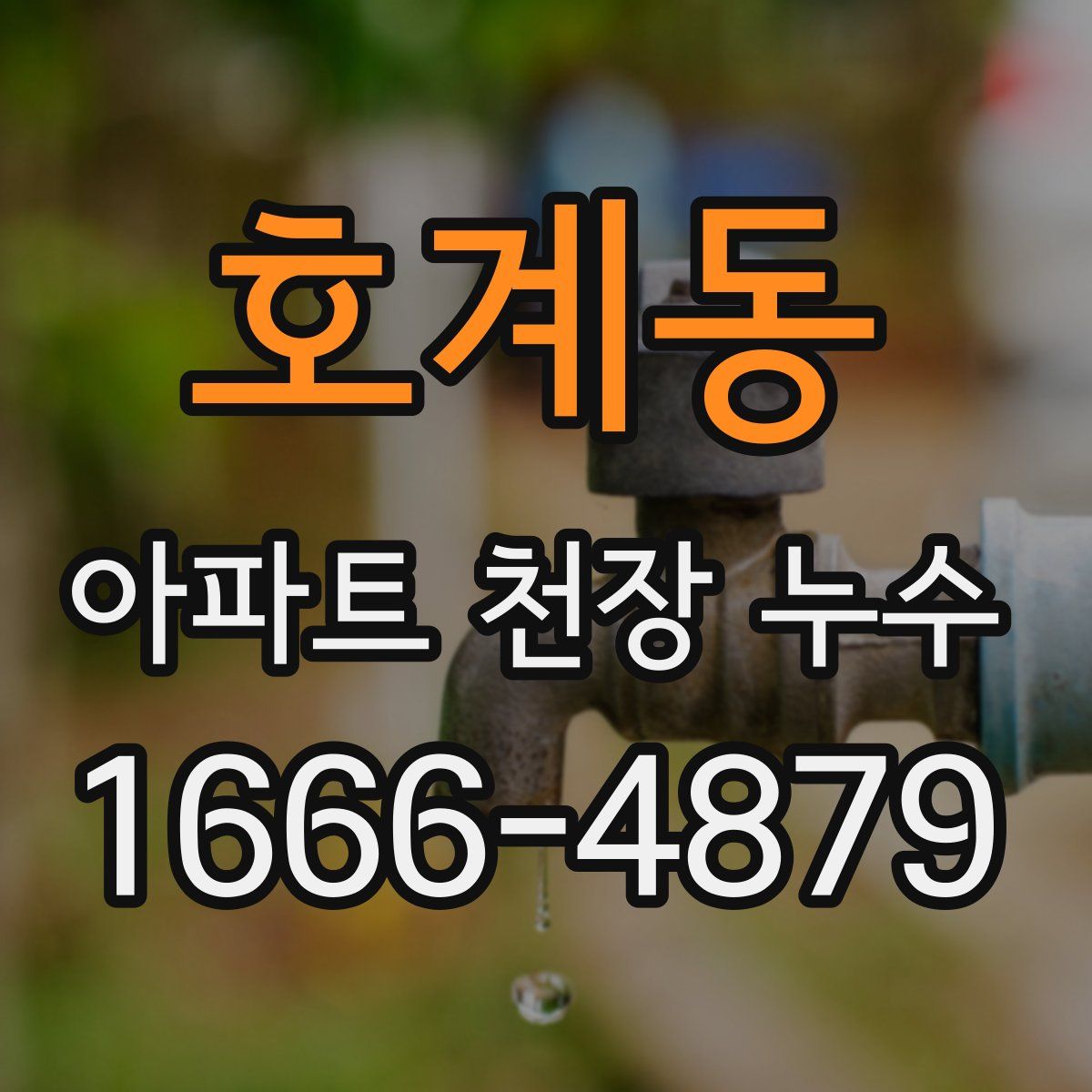 호계동 아파트 천장 누수