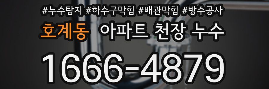 호계동 아파트 천장 누수