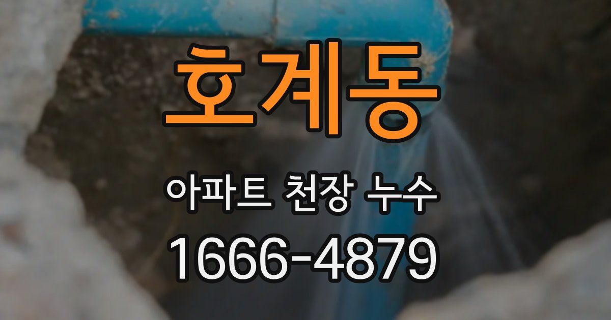 호계동 아파트 천장 누수